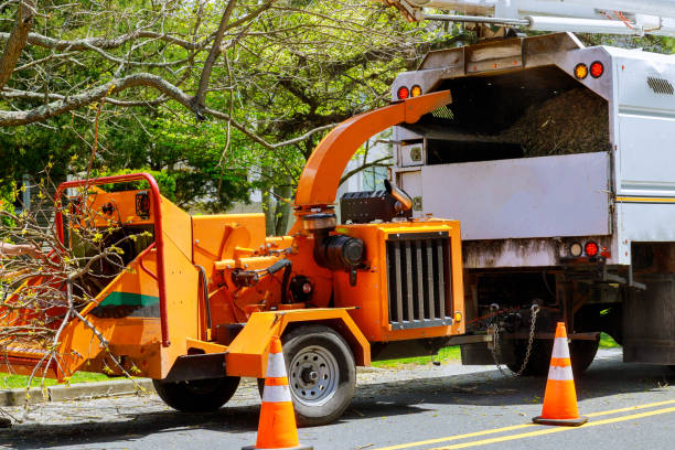 Best Utility Line Clearance  in Masury, OH